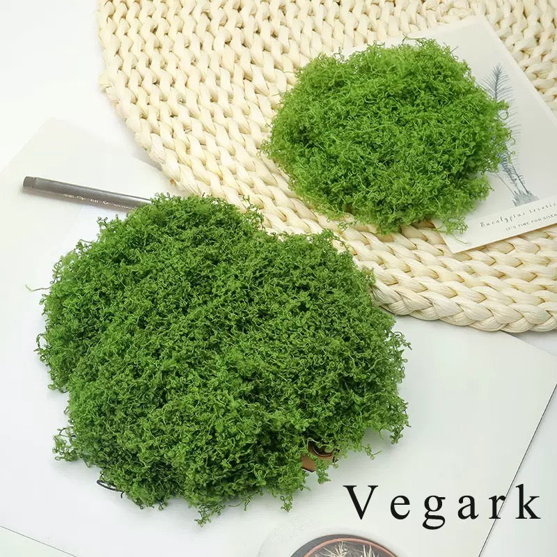 Vegark Artificial plants, other than Christmas trees Simulation Artificial Moss Natural Green Lawn Handmade DIY Gardening Art Wall Flower Shop Bonsai Landscape Decoration