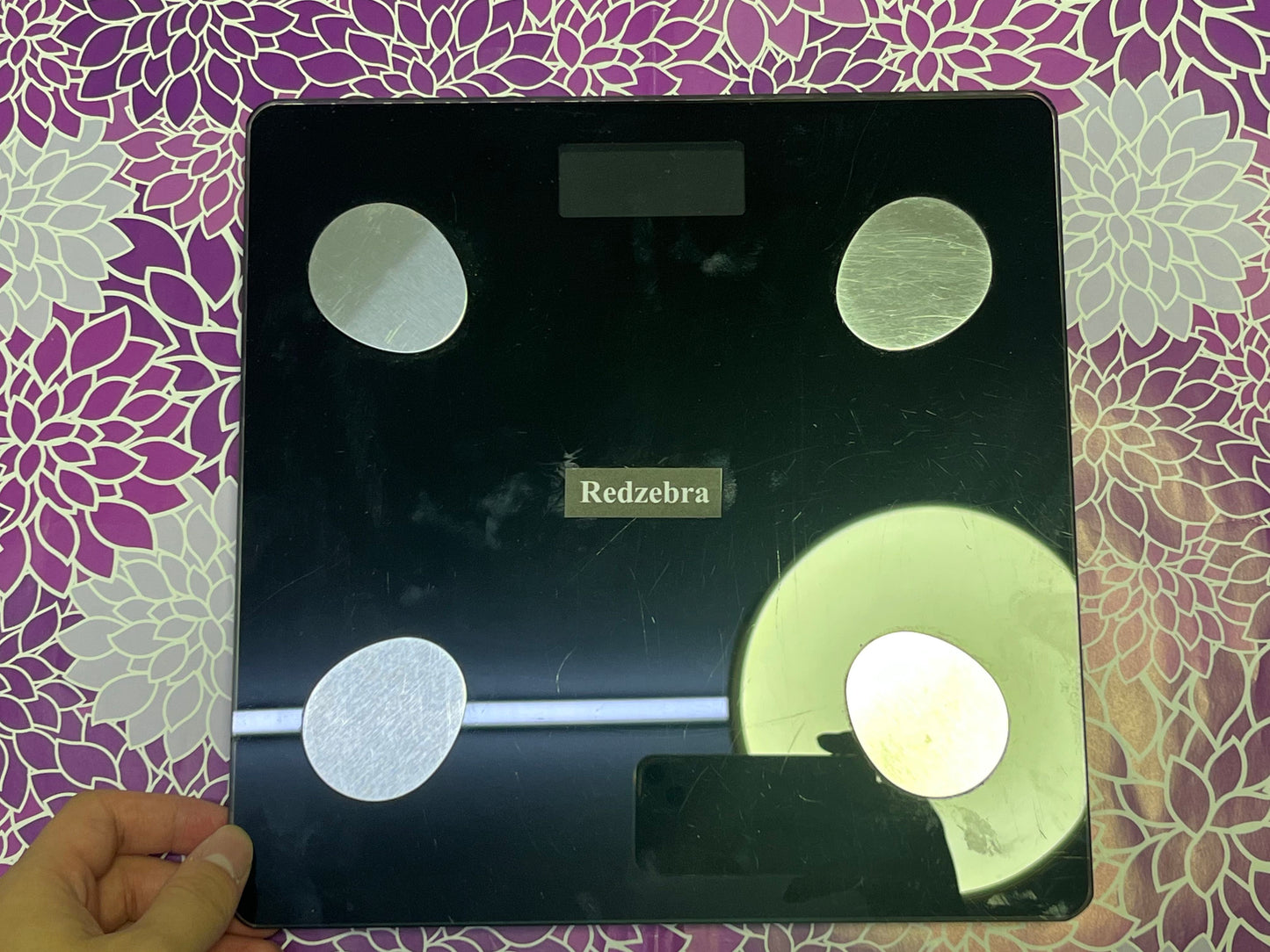 Redzebra Scales Digital WiFi Smart Scale for Body Weight, Weight Scale, Including BMI, Body Fat, Muscle Mass