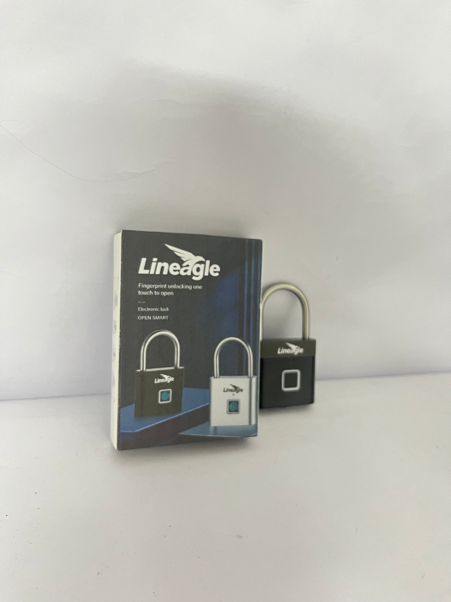 Lineagle Fingerprint Padlock - Keyless Biometric Gate Locks for Outdoor Fence Storage Gym, Combination Lock USB Rechargeable Black