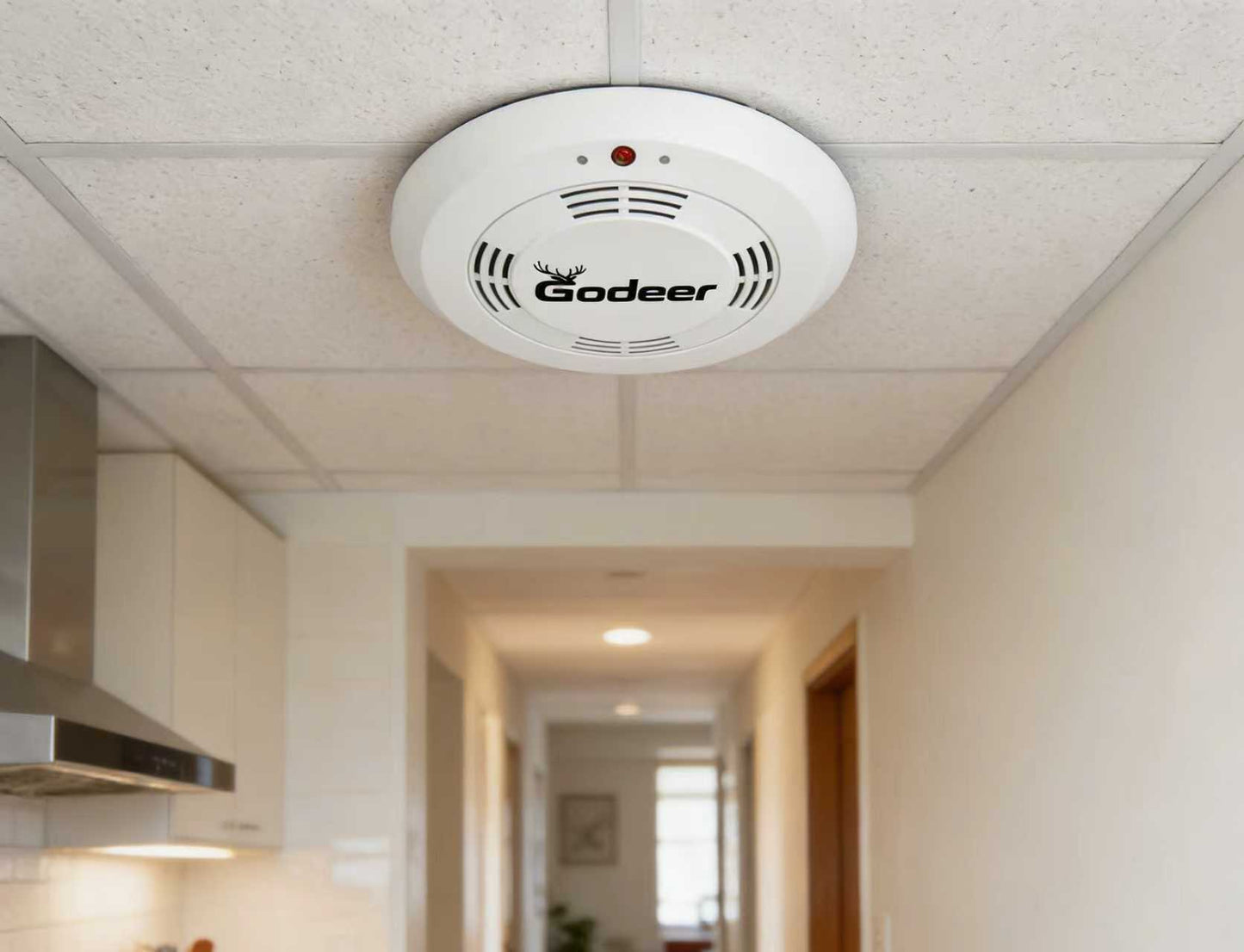 Godeer Smoke Alarm, Photoelectric Smoke Detector with 9V Battery, Fire Alarm for Home with Low Battery Alert & Test Button, Easy to Install, UL Standard Fire Safety for Kitchen, Bedroom, Office