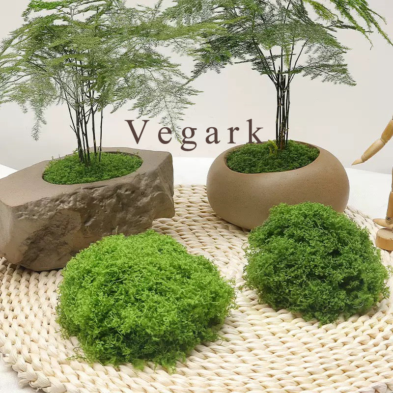 Vegark Artificial plants, other than Christmas trees Simulation Artificial Moss Natural Green Lawn Handmade DIY Gardening Art Wall Flower Shop Bonsai Landscape Decoration