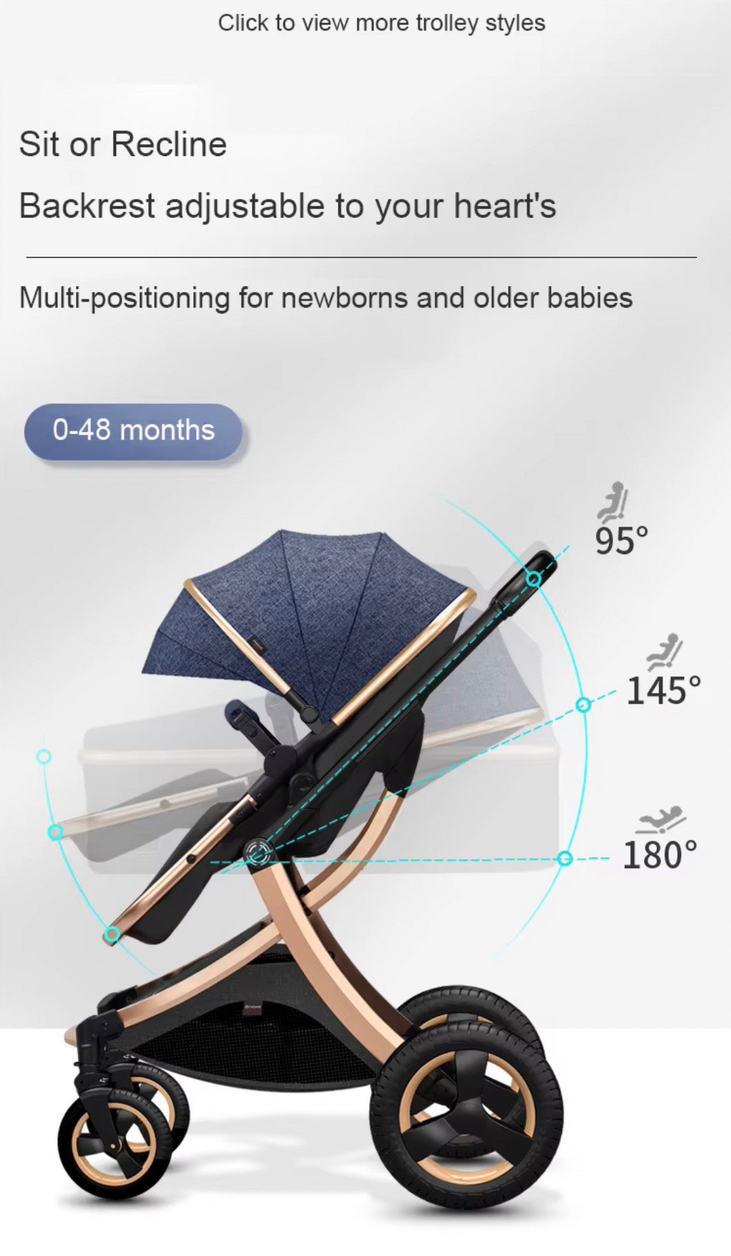 SPARKLION Baby strollers Newborns and up 2-in-1 Infant Newborn Toddler Pram Convertible Foldable Standard Baby Carriage for 0-36 Months Old Babies(Black)