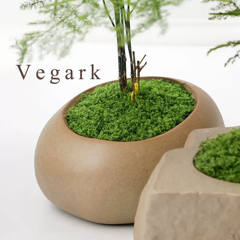 Vegark Artificial plants, other than Christmas trees Simulation Artificial Moss Natural Green Lawn Handmade DIY Gardening Art Wall Flower Shop Bonsai Landscape Decoration