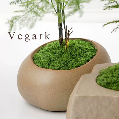 Vegark Artificial plants, other than Christmas trees Simulation Artificial Moss Natural Green Lawn Handmade DIY Gardening Art Wall Flower Shop Bonsai Landscape Decoration