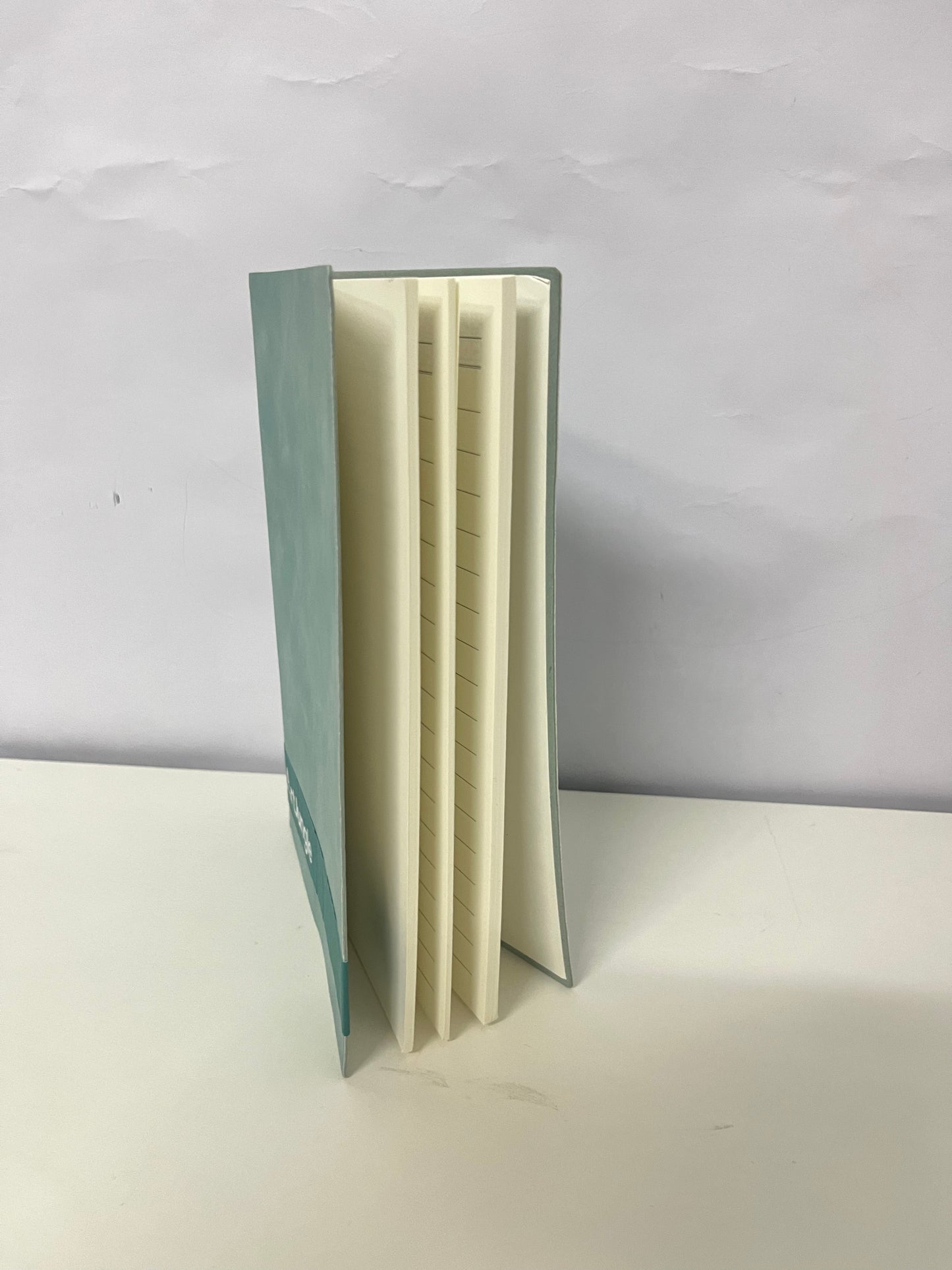 ArtJungle Paper Notebooks - 250gsm Matte Cover