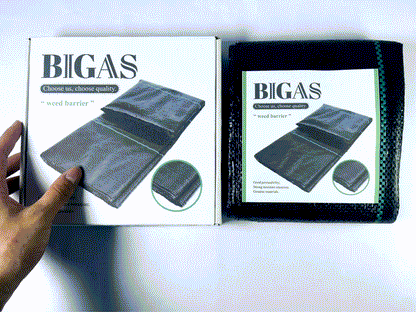 BIGAS Mulch Film Sheet Length 10 m Width 200 cm