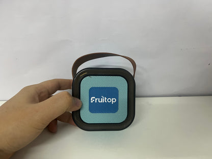 Fruitop 10W High-Power Mini Bluetooth Speaker A Portable & Powerful Audio Essential