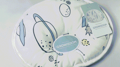 GROWISDOM Unisex Pillow , Hypoallergenic Airmesh Breathable Cool 100% Cotton, Control Sweat, Ideal for Travel, Small, Car, Travel, Baby,MultiFunctual Small Decor Pillows