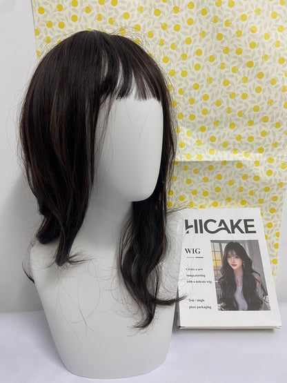 HICAKE Wigs Long Black Straight Hair Wig with Bangs Synthetic High Temperature Fiber Wig for Women