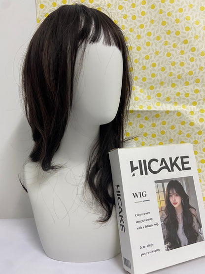 HICAKE Wigs Long Black Straight Hair Wig with Bangs Synthetic High Temperature Fiber Wig for Women
