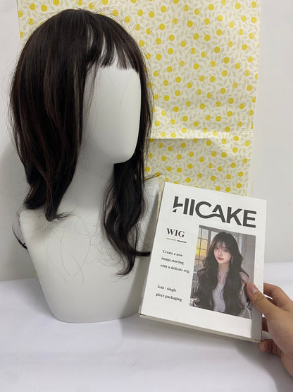 HICAKE Wigs Long Black Straight Hair Wig with Bangs Synthetic High Temperature Fiber Wig for Women
