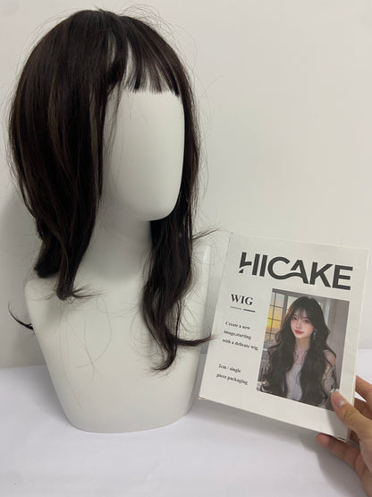 HICAKE Wigs Long Black Straight Hair Wig with Bangs Synthetic High Temperature Fiber Wig for Women