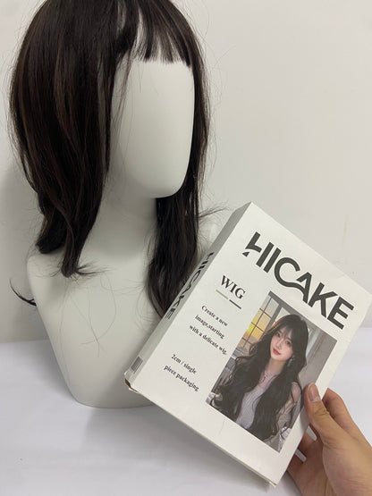 HICAKE Wigs Long Black Straight Hair Wig with Bangs Synthetic High Temperature Fiber Wig for Women