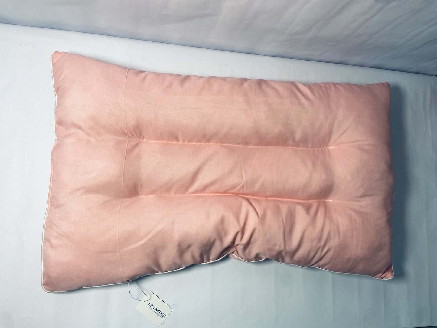 LIVEMIPIRE Pillows Soft Pillow Queen for Sleeping, Super Soft Support Down Alternative Pillow, 100% Cotton Shell Luxury Comfy Fluffy Bed Pillows for Sleep(Pink)