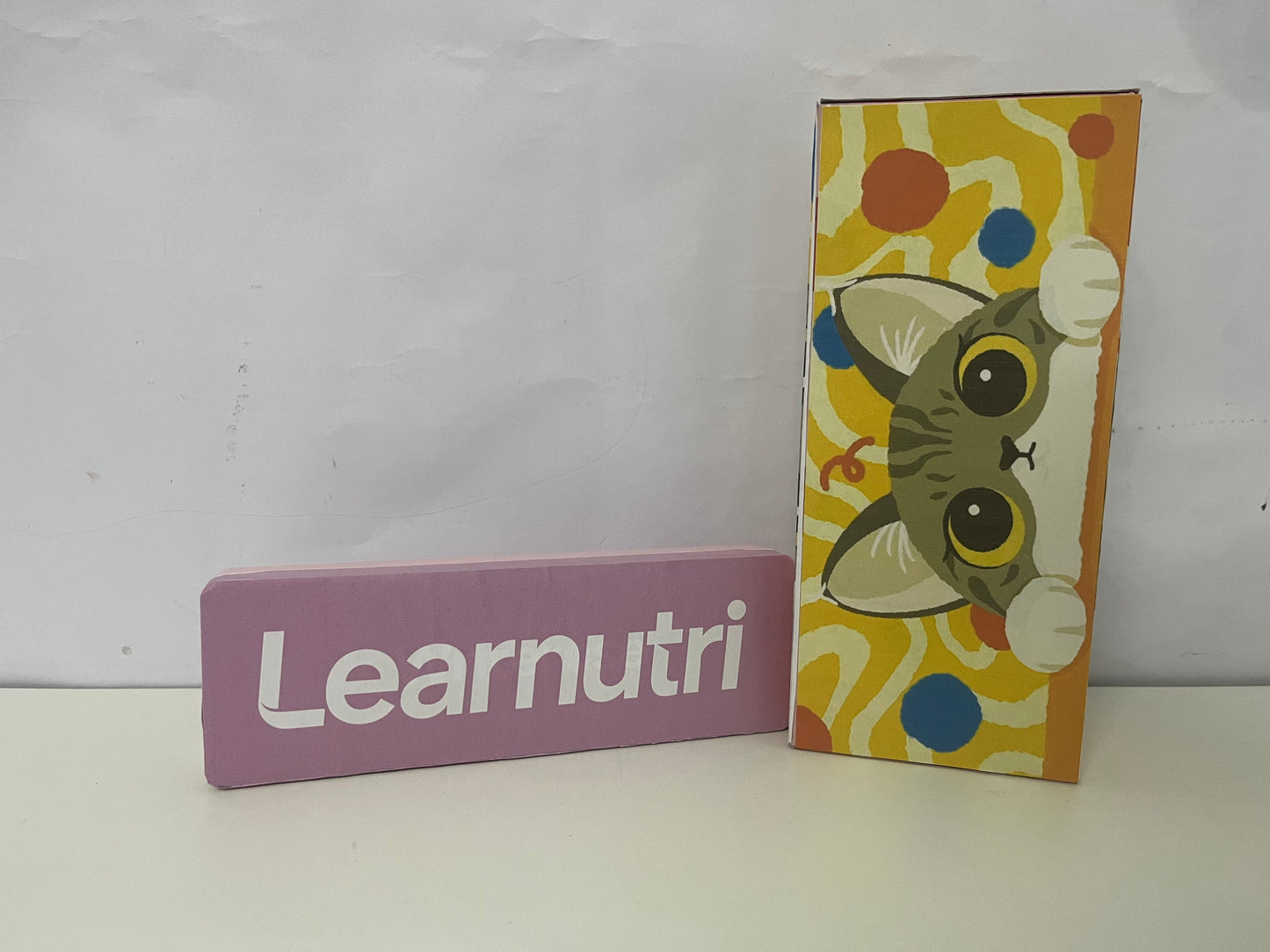 [Learnutri Pencil cases]——Cute Cat Graffiti Pencil Case - Large-Capacity Multi-Functional Stationery Box