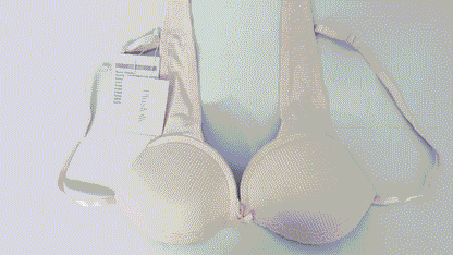 PlusJolie Underwear Women's Tailored Underwire Molded Plunge T-Shirt Bra