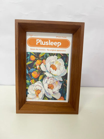 【Plusleep Retro Wooden Picture Frame】—— Preserve Your Precious Moments in Style