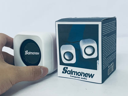 Salmonew Mini Computer Speakers - USB-Powered Desktop Speakers with Clear Audio for PC, Laptop