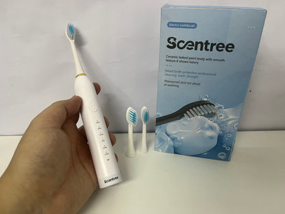 Scentree Multi-Mode Electric Toothbrush: White Ceramic Baked Paint Body with 6 Cleaning Modes & Waterproof Design – Premium Oral Care Tool for Daily Use