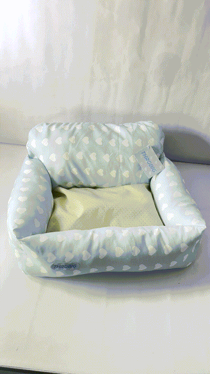 THROBIG Orthopedic Couch Large Sized Pet Beds with Comfort Foam Support, Soft Indestructible Fabric, Machine Washable Waterproof (Light Blue)