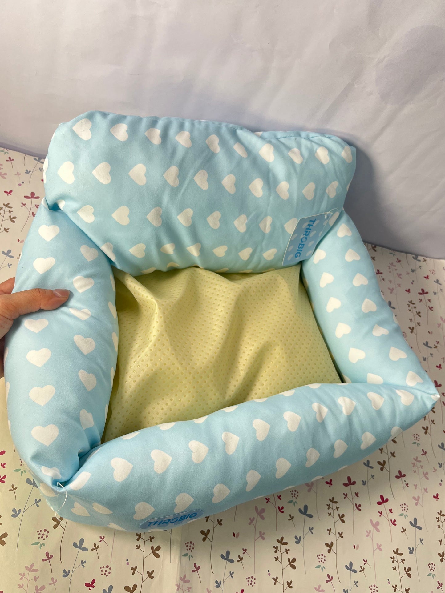 THROBIG Orthopedic Couch Large Sized Pet Beds with Comfort Foam Support, Soft Indestructible Fabric, Machine Washable Waterproof (Light Blue)