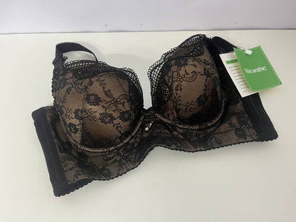 [Vacanthe Bras]——Vacanthe French Lace Push-Up Bra - Sexy Underwire Lingerie
