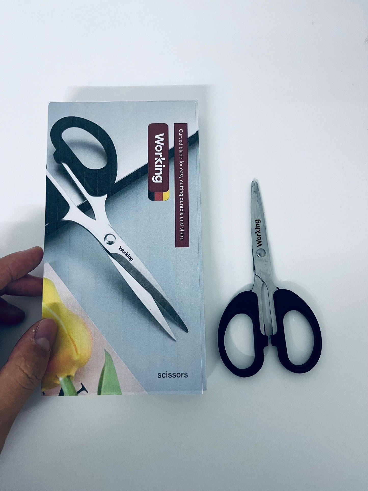 【Working Multipurpose Curved-Blade Scissors】—— Reliable Tool for Smooth Cutting Tasks