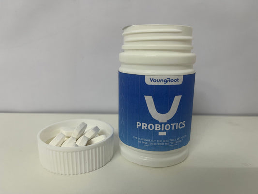 YoungRoot Gut-Care Probiotics Tablets— Daily Gut Balance Support Supplement