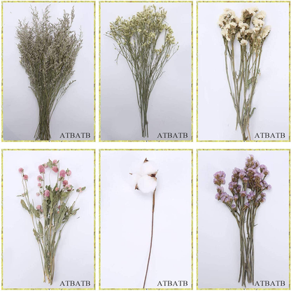 ATBATB Dried flowers for decoration Natural Dried Flowers Bouquet Dried Cotton Stem Lover Grass Gypsophila Myosotis Sylvatica Farmhouse Artificial Flowers for Filler Floral Arrangement DIY Home Party Decor