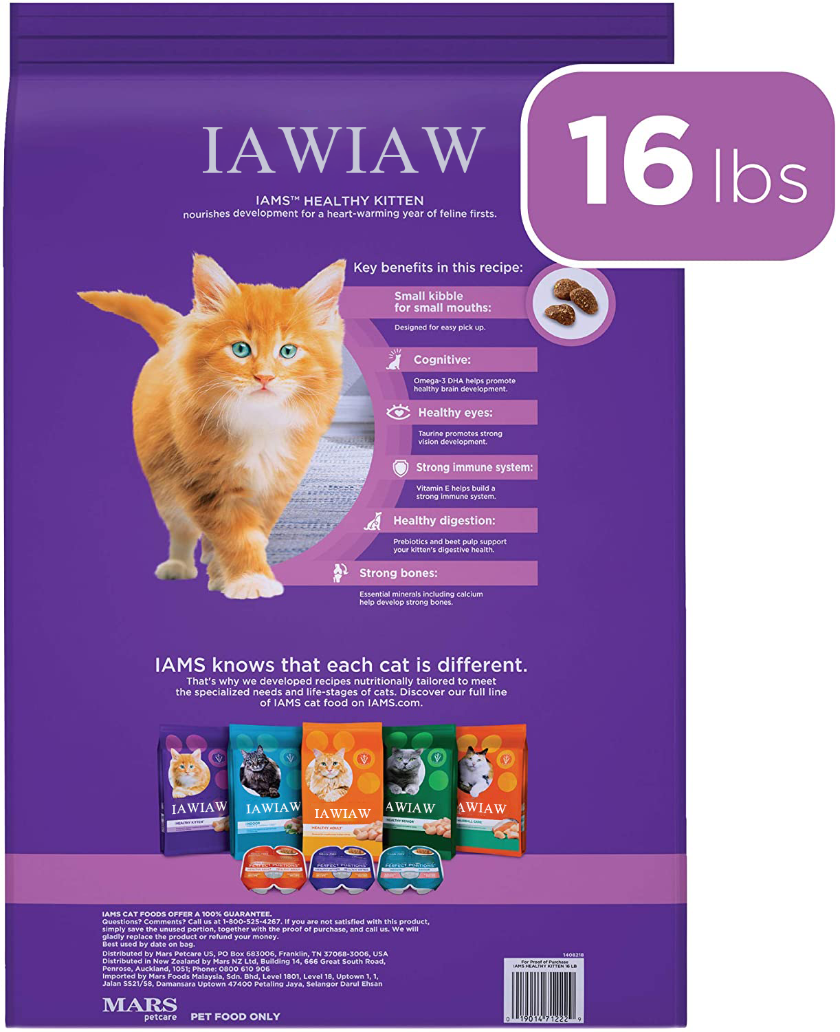 IAWIAW PROACTIVE HEALTH HEALTHY KITTEN Animal feed Dry Cat Food with Fish Oil and Chicken, 16 lb. Bag