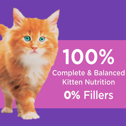 IAWIAW PROACTIVE HEALTH HEALTHY KITTEN Animal feed Dry Cat Food with Fish Oil and Chicken, 16 lb. Bag