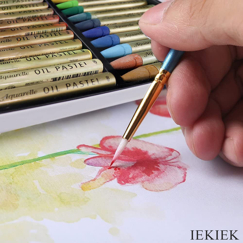 IEKIEK Oil pastels Non Toxic Soft Water Soluble Oil Pastels for Artist and Professional (24 Colors)