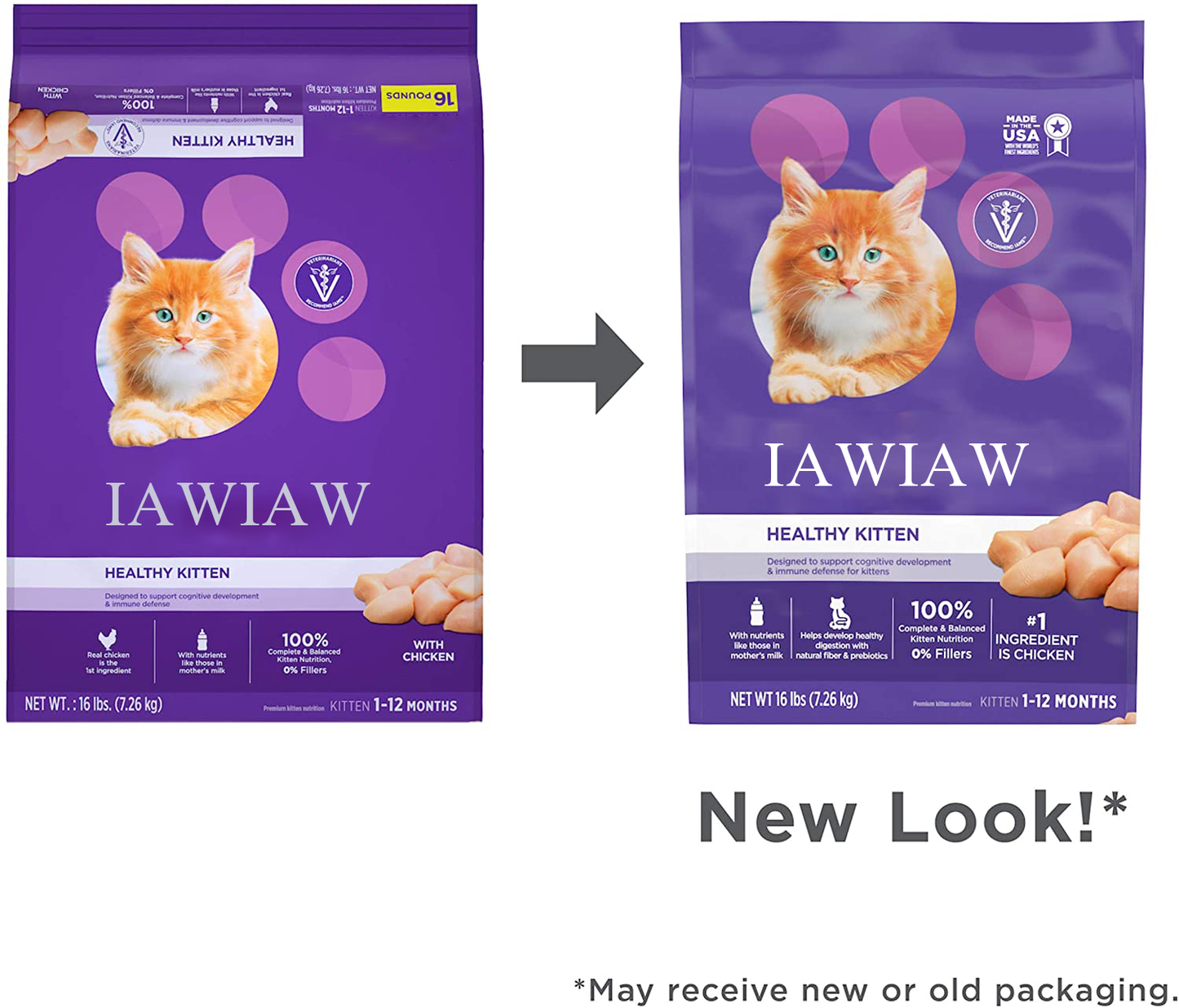 IAWIAW PROACTIVE HEALTH HEALTHY KITTEN Animal feed Dry Cat Food with Fish Oil and Chicken, 16 lb. Bag